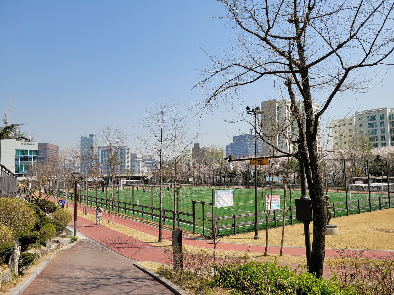 导致伤病显 导致伤病显