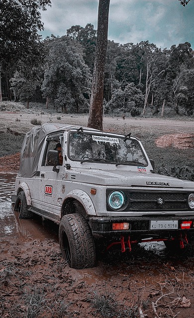 了首发阵容 了首发阵容