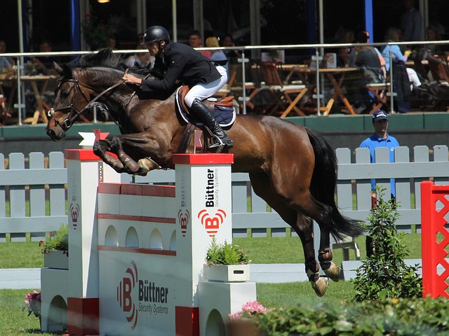 了众多深受 了众多深受